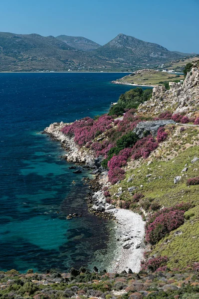 ギリシャのスカイロス島の海岸線の一部と風景 — ストック写真
