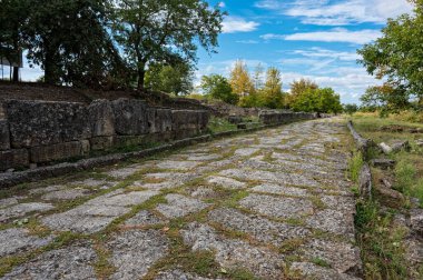 Yunanistan 'ın kuzeyindeki Dion arkeoloji sahasının ana caddesinin bir kısmı