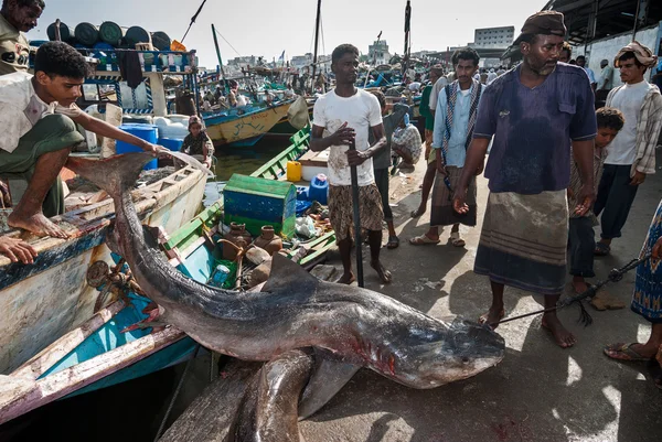 在也门的鱼市场 — 图库照片