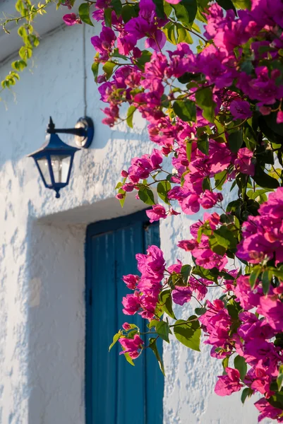 Door in Greece — Stock Photo, Image