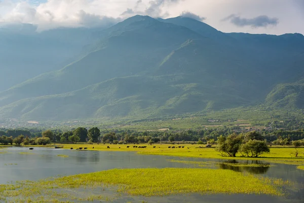 Lac Kerkini en Grèce — Photo