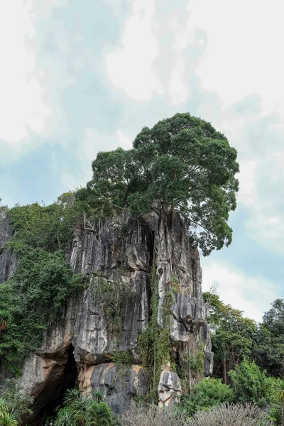 Blick Auf Schöne Touristenattraktionen Den Bergen Der Provinz Loei Inthailand — Stockfoto