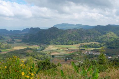 Dağın manzarası ve Tayland 'daki doğa parkı.