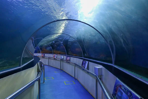 Prachuap Khiri Khan Thailand Oktober 2020 Wandelweg Het Waghor Aquarium — Stockfoto