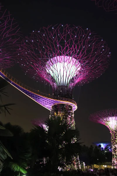 Supertree Garden Night Signal Garden Bay Singapore — стоковое фото