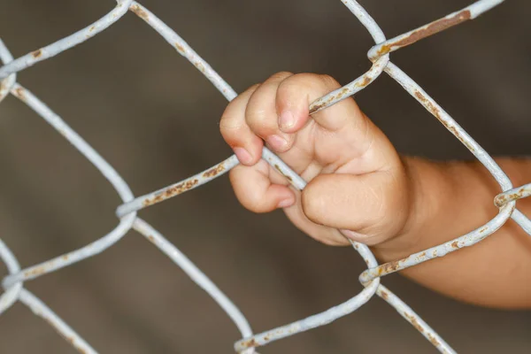 Bebek kapısını elinle kapat. 