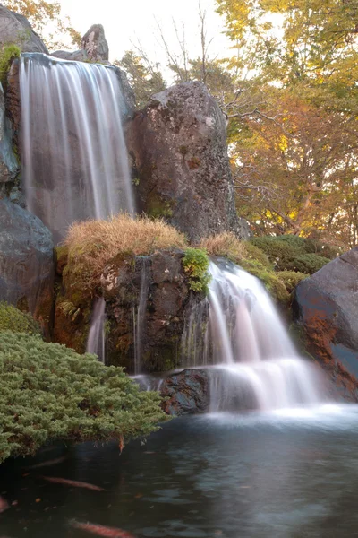 Cascada y peces — Foto de Stock