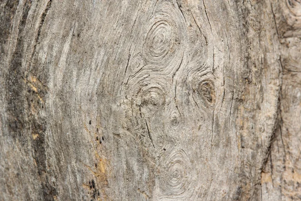 Wood Texture — Stock Photo, Image