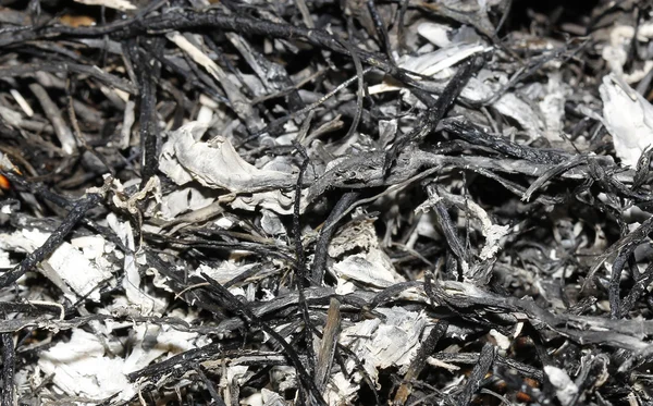 Cinzas provenientes da queima de campos de arroz — Fotografia de Stock