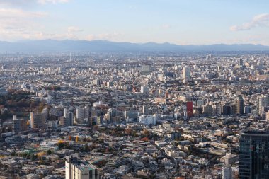 Tokyo, Japonya - 14 Aralık 2024: Manzara manzarası günbatımı ve şehir manzarası Tokyo, Japonya.