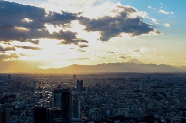 Tokyo, Japonya - 14 Aralık 2024: Manzara manzarası günbatımı ve şehir manzarası Tokyo, Japonya.