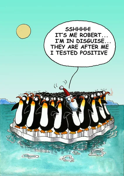 องตลกการ นของเพนกว งหน — ภาพถ่ายสต็อก