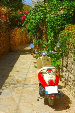 Bitkiler ile dar bir yol motosiklet