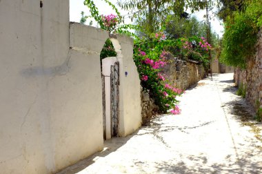 Bir köyde sevimli yol