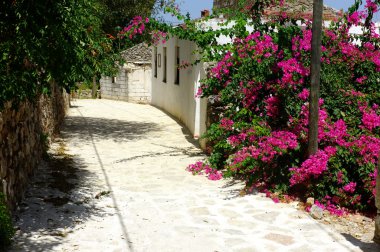 Bir köyde sevimli yol