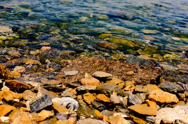 浅い水の中の石 — ストック写真