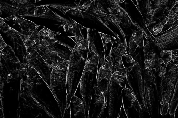 Illustrative group of  black and white fish background — Stock Photo, Image