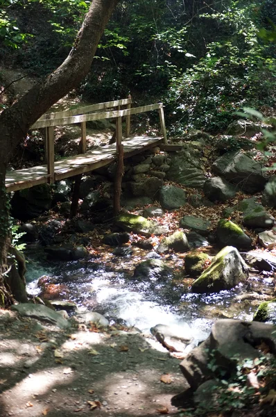 Hand made wooden bridge and small creek — Stock Photo, Image