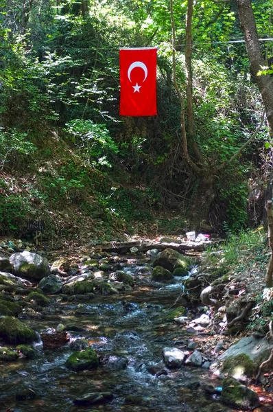 Hengt tyrkisk flagg i naturen – stockfoto