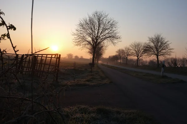 Východ slunce krajina s prázdné silnici — Stock fotografie