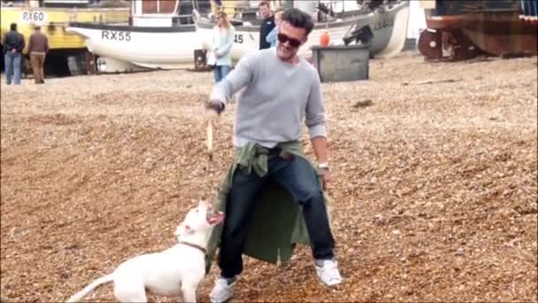 男がビーチで彼の犬と一緒に再生します。 — ストック動画