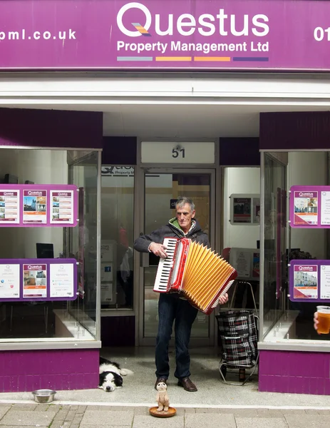 Street musician plays accordion — Stock Photo, Image