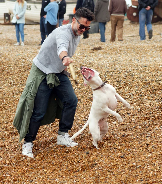 Homem brinca com seu cão na praia — Fotografia de Stock