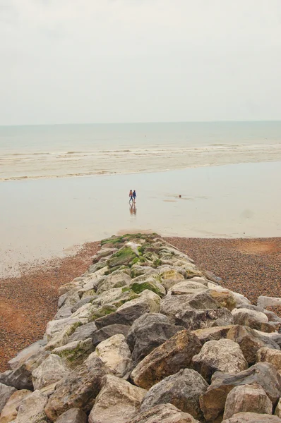 Oamenii merg pe plaja cea mare — Fotografie, imagine de stoc