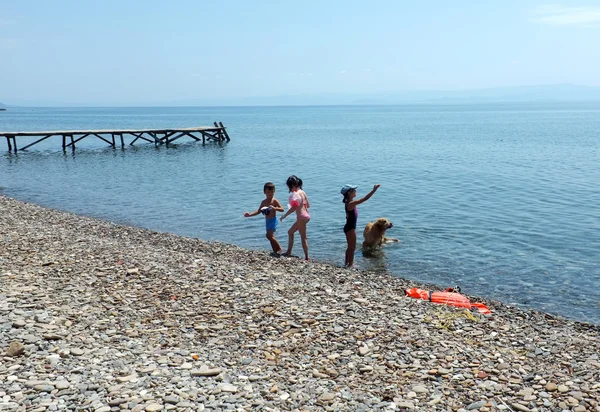 Dzieci i ich pies grać na plaży — Zdjęcie stockowe