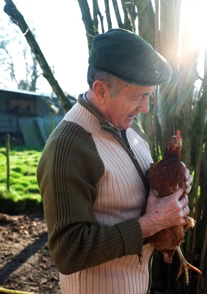 French farmer holding a chicken — Stock Photo, Image