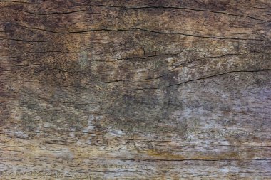 Doğal desenli ahşap doku