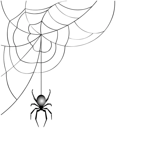 Spider web vector — Stockvector