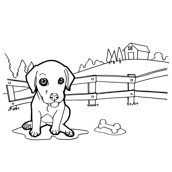 Libro da colorare con cane e paesaggio — Vettoriale Stock