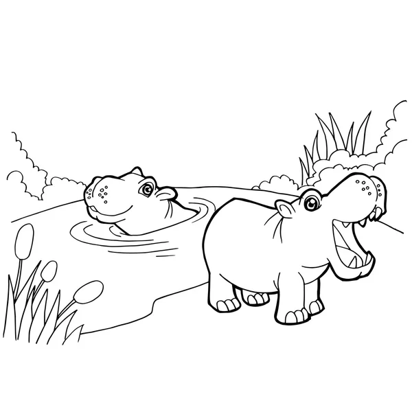 Hippopotamus cartoon colorir páginas vetor — Vetor de Stock