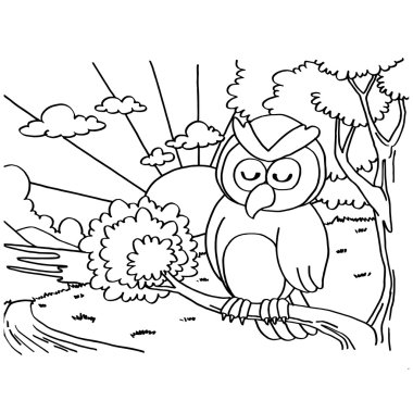 Baykuş boyama sayfaları vektör