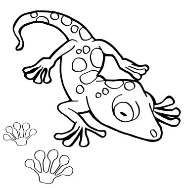 Gekko Boyama Page vektör ile pençe Yazdır