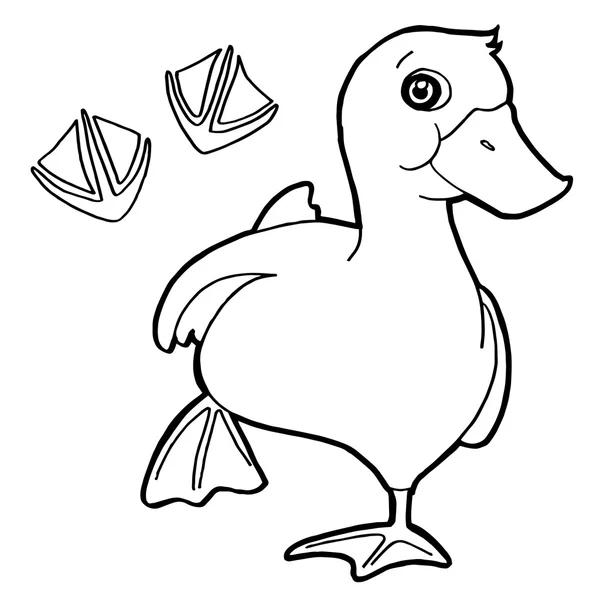 Duck  with paw print Coloring Pages vector — Stock Vector