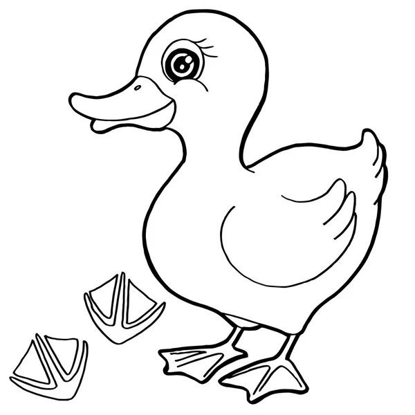 Duck  with paw print Coloring Pages vector — Stock Vector