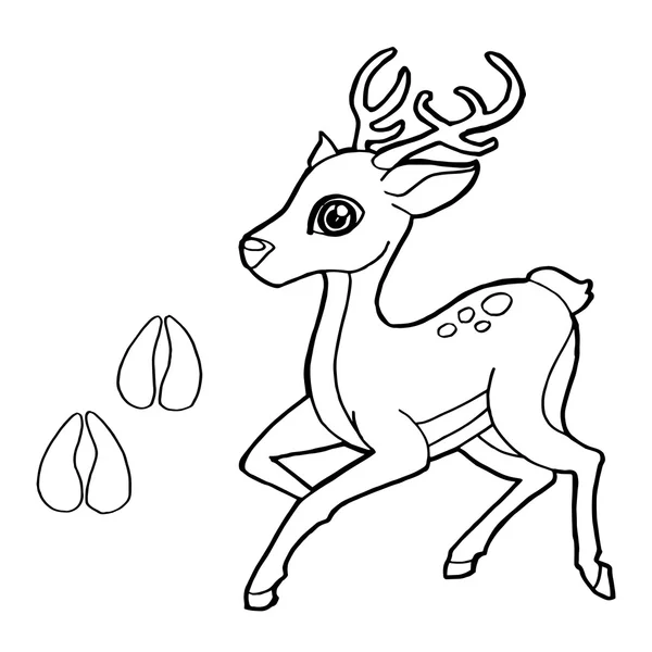 Impresión de pata con Deer Coloring Page vector — Vector de stock