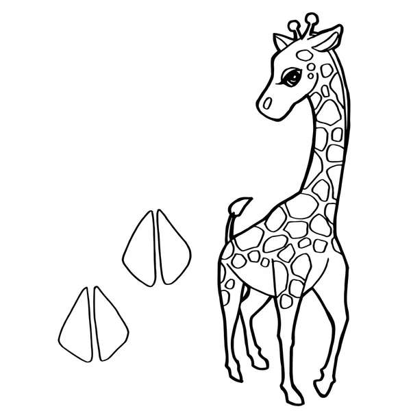 Poot afdrukken met giraffe kleurende pagina's vector — Stockvector