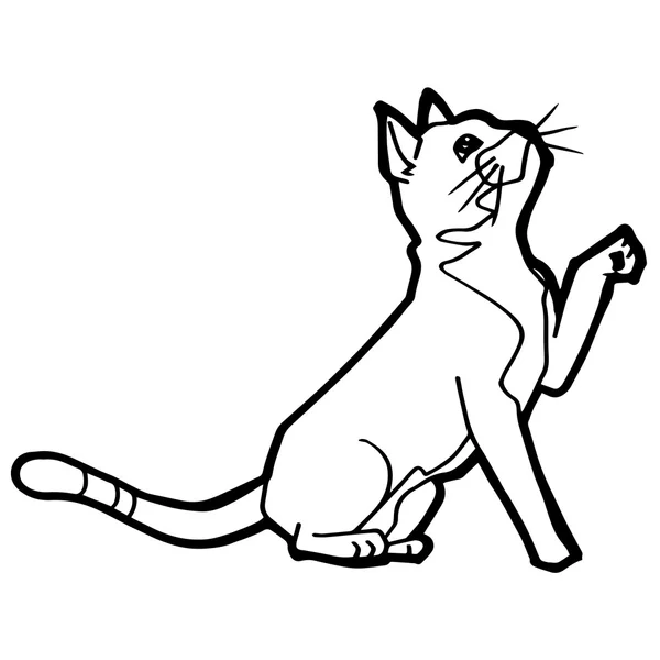 Fumetto Cat Coloring Pagina per il bambino isolato su bianco — Vettoriale Stock
