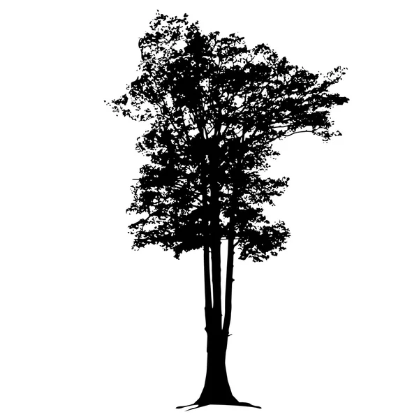 Векторные большие деревья в силуэтах — стоковый вектор