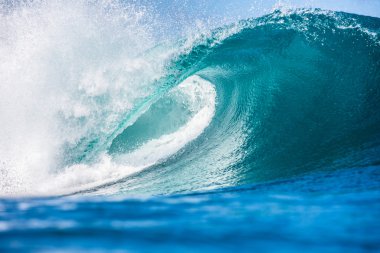 Rip Curl Büyük Okyanus Parlak Sörf Dalga