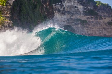 Rip Curl Büyük Okyanus Parlak Sörf Dalga