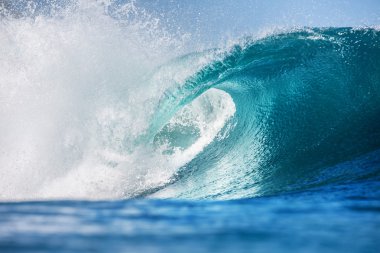 Rip Curl Büyük Okyanus Parlak Sörf Dalga