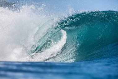 Rip Curl Büyük Okyanus Parlak Sörf Dalga
