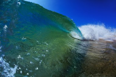 Rip Curl Büyük Okyanus Parlak Sörf Dalga