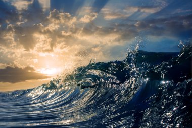 Rip Curl Büyük Okyanus Parlak Sörf Dalga