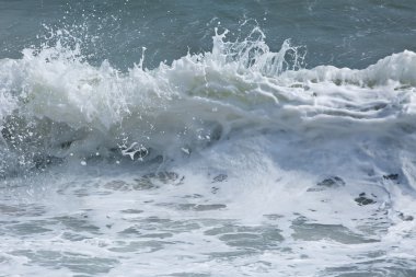 White foam of shorebreak waves