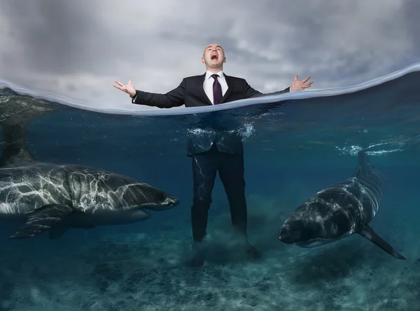 Businessman Screaming In The sea Surrounded By Sharks — Stock Photo, Image